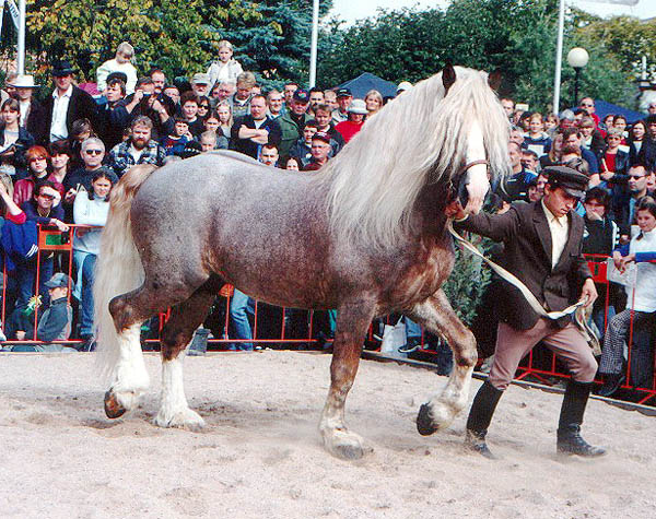 794.jpg